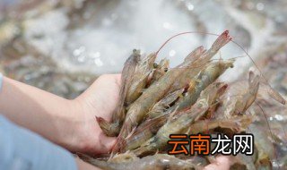 怎么判断大对虾变质,怎么判断大对虾变质没有