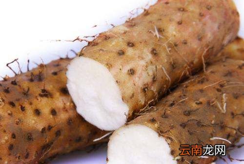 根类食物有哪些，辅食根茎类蔬菜有哪些