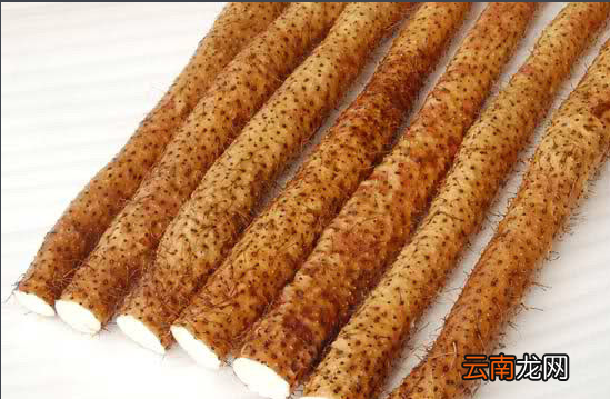 根类食物有哪些，辅食根茎类蔬菜有哪些