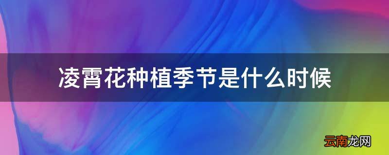 凌霄花种植季节是什么时候