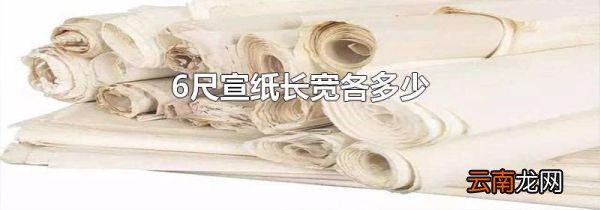 6尺宣纸长宽各多少