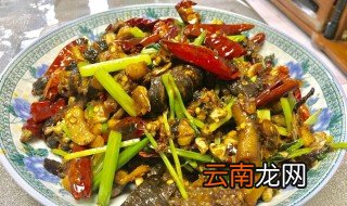 黄鳝炒辣椒的做法 快来学学吧