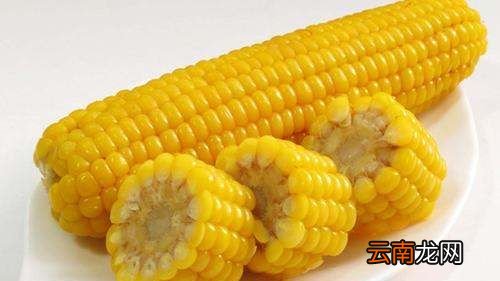 玉米有哪些品种，玉米品种前十名名单