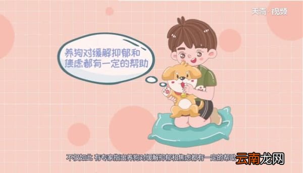 猫和狗是属于什么动物猫和狗是属于什么动物