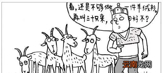 小山羊绒和羊绒的区别 羊毛和羊绒的区别是什么