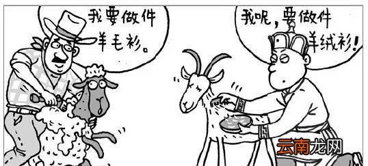 小山羊绒和羊绒的区别 羊毛和羊绒的区别是什么