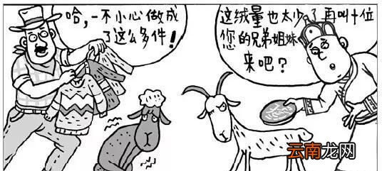 小山羊绒和羊绒的区别 羊毛和羊绒的区别是什么