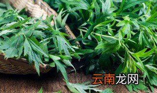 端午节为什么放艾蒿 端午节摆艾蒿为什么