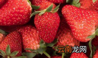 清明节气吃什么水果 清明节气吃啥水果
