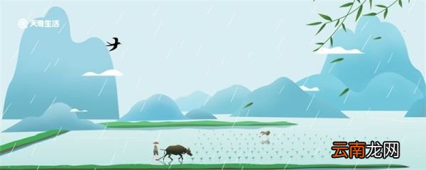 谷雨要注意什么 谷雨的注意事项