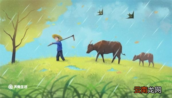 谷雨要注意什么 谷雨的注意事项
