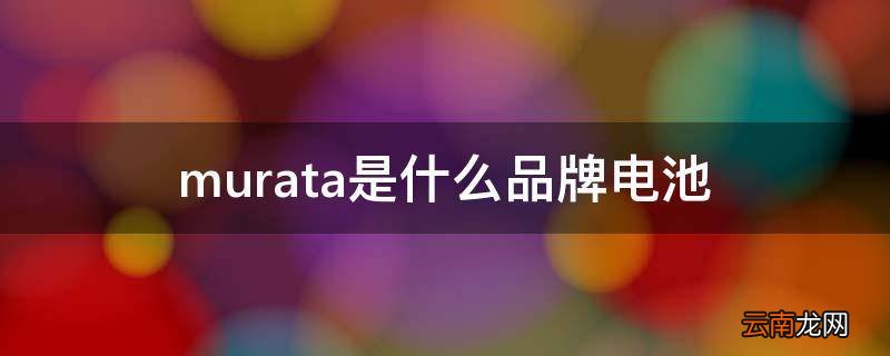 murata是什么品牌电池