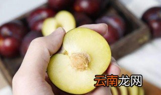 黑布林怎么催熟 黑布林如何快速催熟