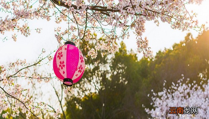 你若安好便是晴天什么意思 你若安好便是晴天怎么解释