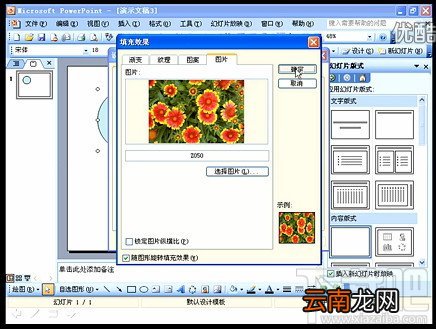PPT视频教程PPT制作中图片怎么美化