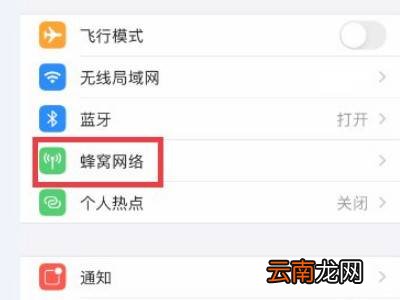 苹果12怎么设置sa模式