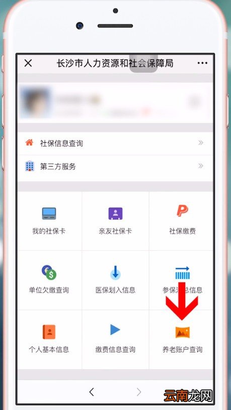 微信中查询养老保险具体操作方法