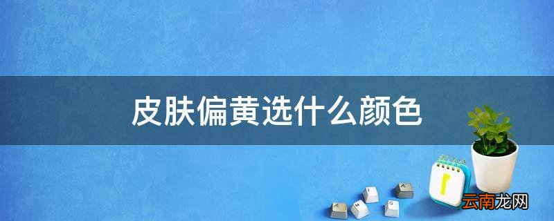 皮肤偏黄选什么颜色