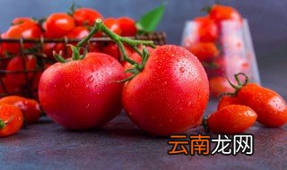 西红柿保存时间长的方法 西红柿保存时间长的方法介绍