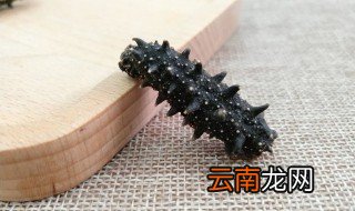 干海参可以保存多久 干海参可以保存多久吃