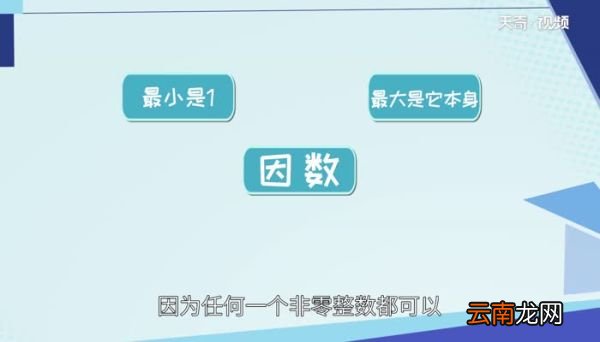 因数是什么 什么是因数