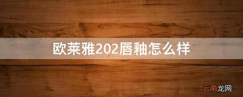 欧莱雅202唇釉怎么样