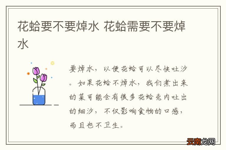 花蛤要不要焯水 花蛤需要不要焯水