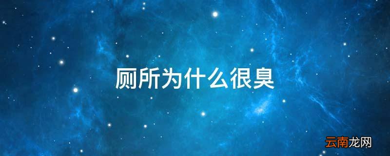 厕所为什么很臭