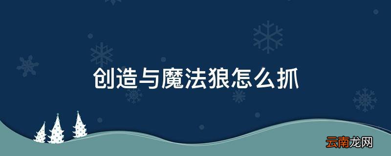 创造与魔法狼怎么抓