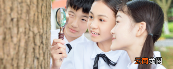 儿童观察力要怎么培养 孩子的观察力应该这样培养
