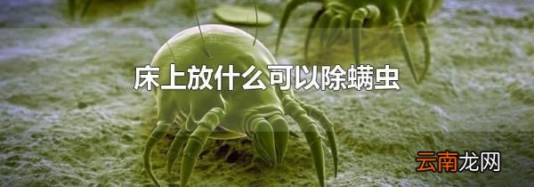 床上放什么可以除螨虫