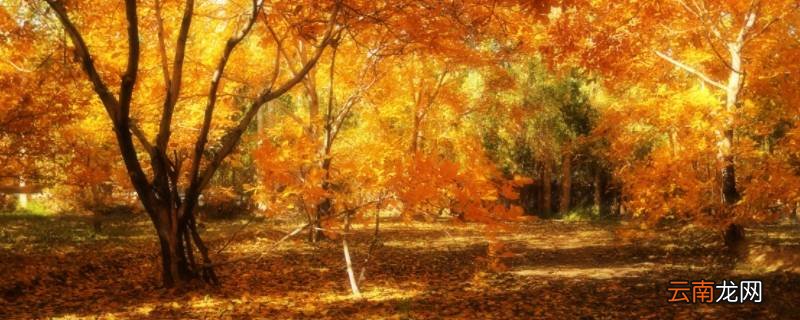 10月中旬属于什么季节