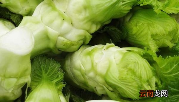 儿菜不能和什么一起吃 与儿菜相克的食物