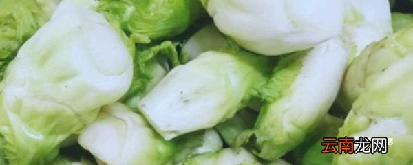 儿菜不能和什么一起吃 与儿菜相克的食物