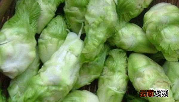 儿菜不能和什么一起吃 与儿菜相克的食物