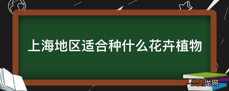 上海地区适合种什么花卉植物