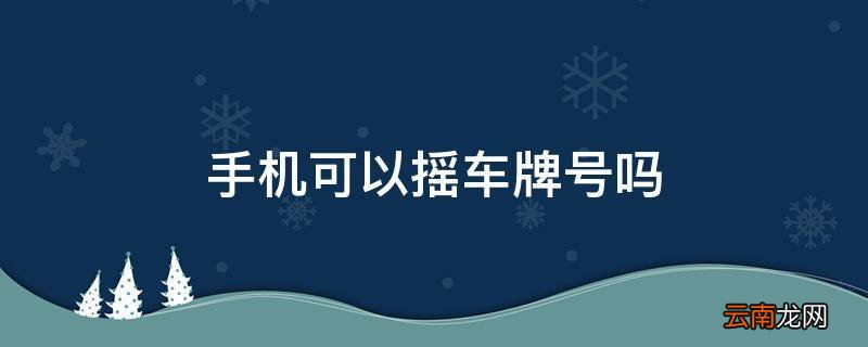 手机可以摇车牌号吗