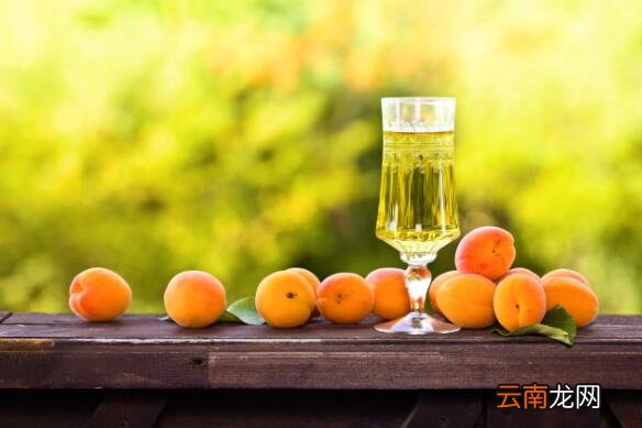 杏子可以酿酒吗 杏子怎么发酵成酒