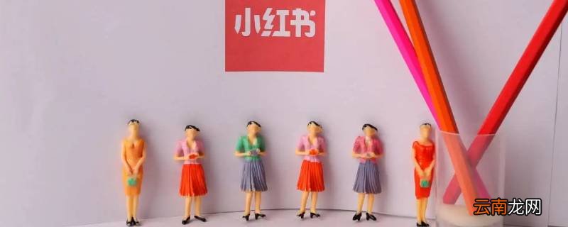 小红书需要写吗