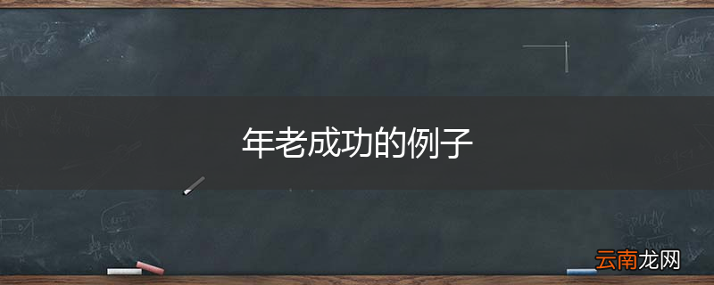 年老成功的例子