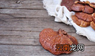 新鲜灵芝的食用方法 怎么吃新鲜的灵芝