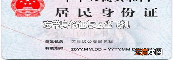 忘带身份证怎么坐飞机