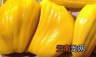 菠萝蜜的核可以冷冻吗 菠萝蜜的核可不可以冷冻
