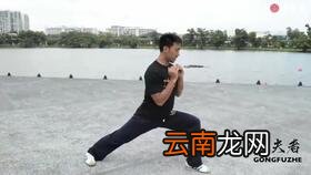 武术基本手型和步型,武术操的基本手型是什么