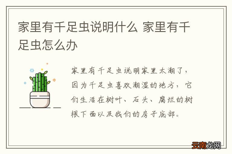 家里有千足虫说明什么 家里有千足虫怎么办
