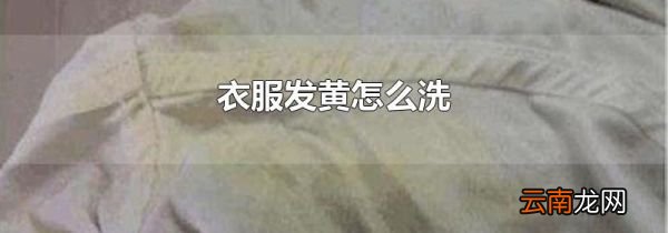 衣服发黄怎么洗