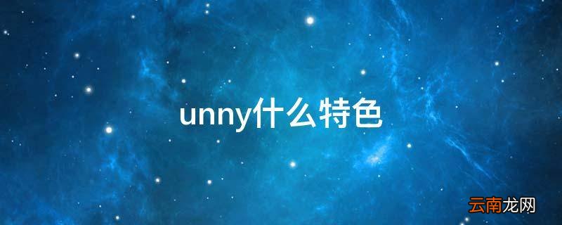 unny什么特色