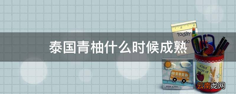 泰国青柚什么时候成熟