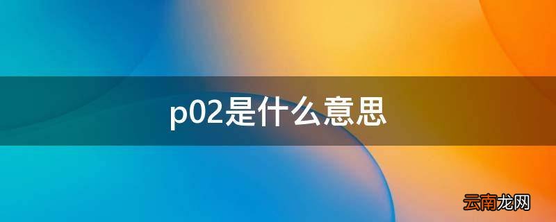 p02是什么意思