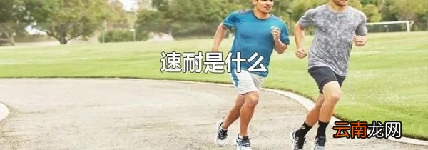 速耐是什么